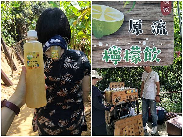 1090808大坑步道 (9).jpg 1090808大坑步道 (9).jpg