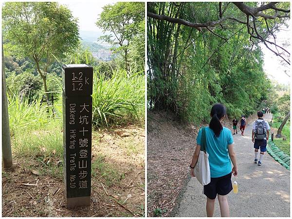 1090808大坑步道 (14).jpg 1090808大坑步道 (14).jpg