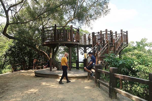 1090808大坑步道 (15).JPG 1090808大坑步道 (15).JPG