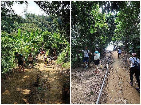 1090808大坑步道 (11).jpg 1090808大坑步道 (11).jpg