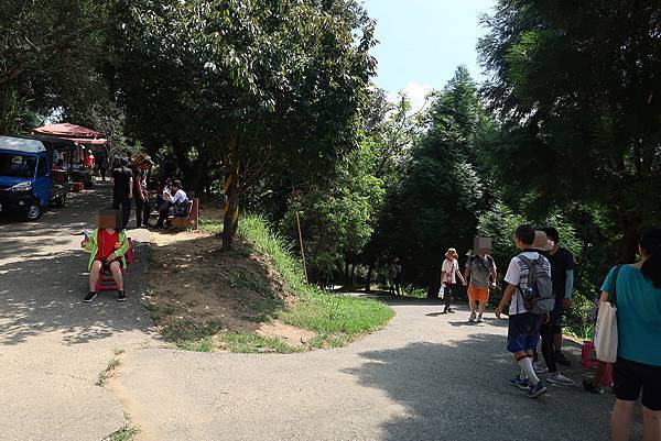 1090808大坑步道 (13).JPG 1090808大坑步道 (13).JPG