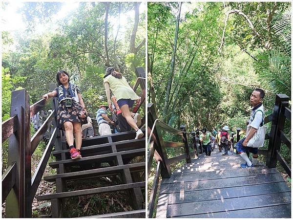 1090808大坑步道 (18).jpg 1090808大坑步道 (18).jpg