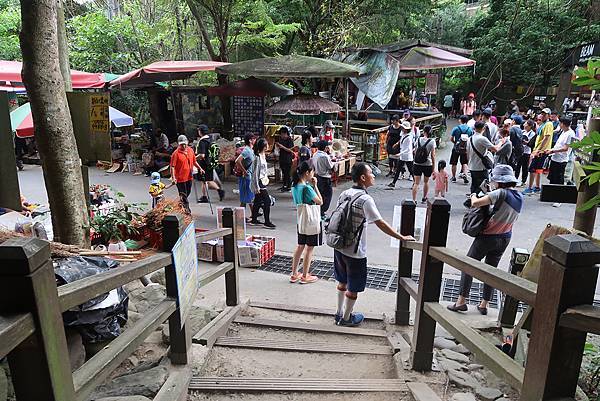 1090808大坑步道 (23).JPG 1090808大坑步道 (23).JPG