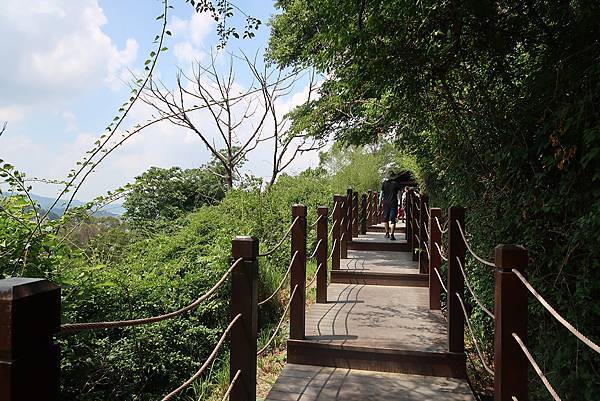 1090808大坑步道 (20).JPG 1090808大坑步道 (20).JPG