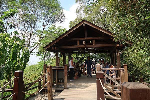 1090808大坑步道 (21).JPG 1090808大坑步道 (21).JPG