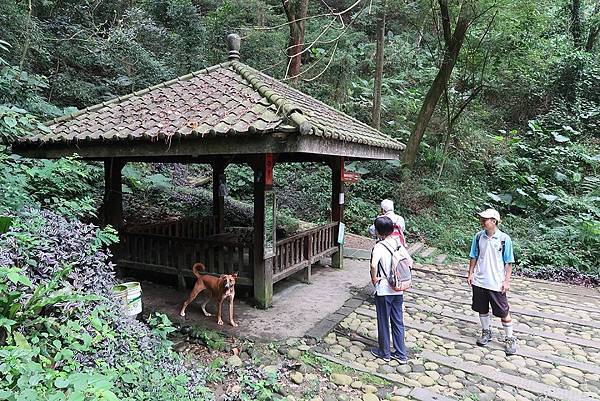 1090905清水岩步道 (37).JPG