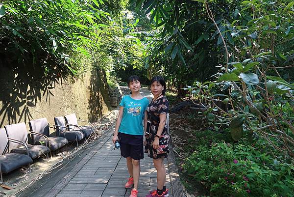 1090808大坑步道 (25).JPG 1090808大坑步道 (25).JPG