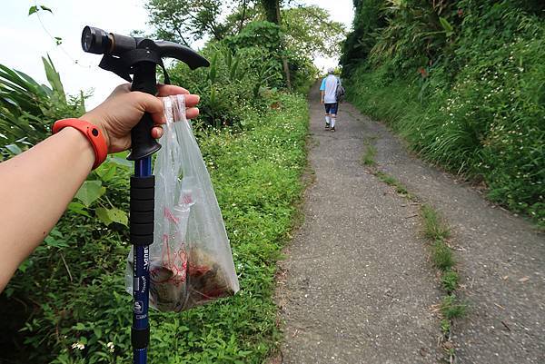 1090926龍麟山步道 (5).JPG 1090926龍麟山步道 (5).JPG
