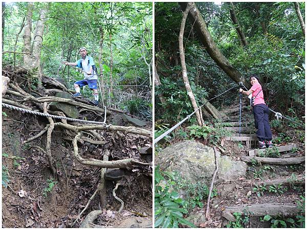1090926龍麟山步道 (13).jpg 1090926龍麟山步道 (13).jpg