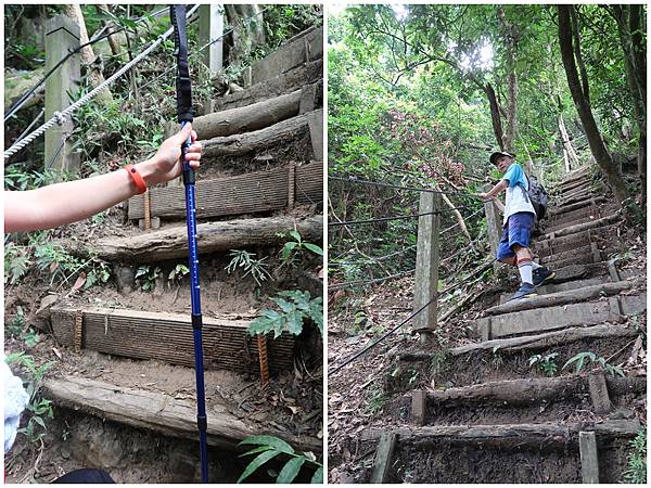 1090926龍麟山步道 (11).JPG 1090926龍麟山步道 (11).JPG