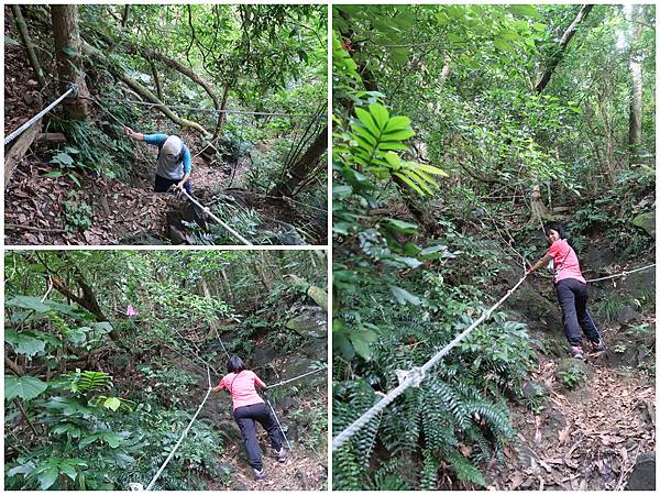 1090926龍麟山步道 (14).jpg 1090926龍麟山步道 (14).jpg