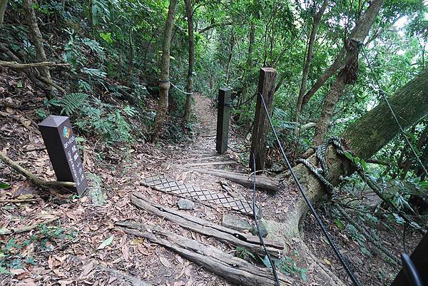 1090926龍麟山步道 (15).JPG 1090926龍麟山步道 (15).JPG