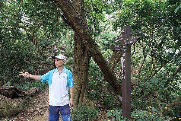 1090926龍麟山步道 (20).JPG 1090926龍麟山步道 (20).JPG