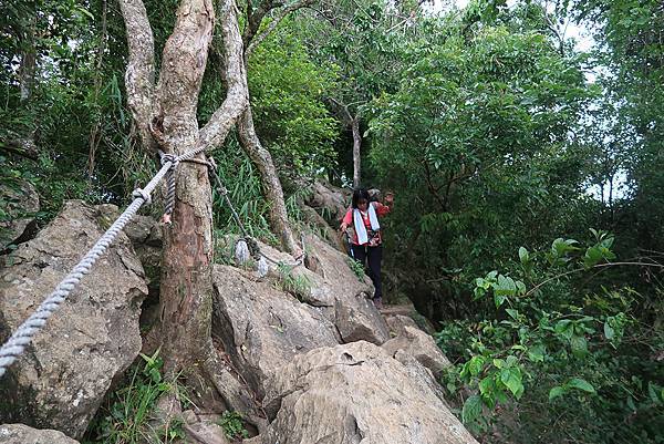 1090926龍麟山步道 (27).JPG 1090926龍麟山步道 (27).JPG