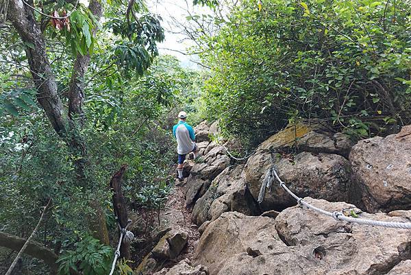 1090926龍麟山步道 (25).jpg 1090926龍麟山步道 (25).jpg