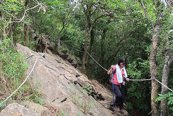 1090926龍麟山步道 (30).JPG 1090926龍麟山步道 (30).JPG