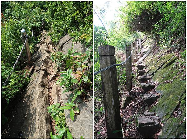 1090926龍麟山步道 (37).jpg 1090926龍麟山步道 (37).jpg