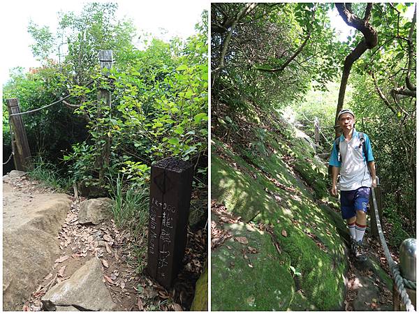 1090926龍麟山步道 (36).jpg 1090926龍麟山步道 (36).jpg