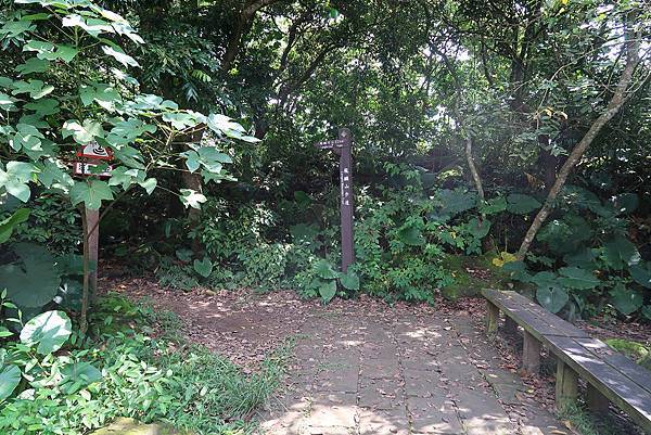 1090926龍麟山步道 (42).JPG 1090926龍麟山步道 (42).JPG
