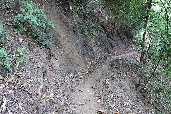 1090926龍麟山步道 (44).JPG 1090926龍麟山步道 (44).JPG