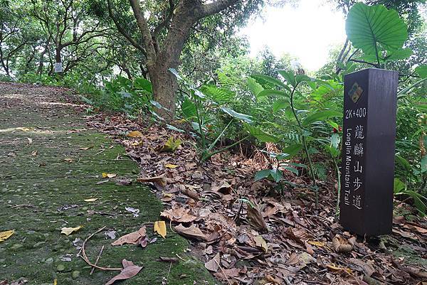 1090926龍麟山步道 (46).JPG 1090926龍麟山步道 (46).JPG