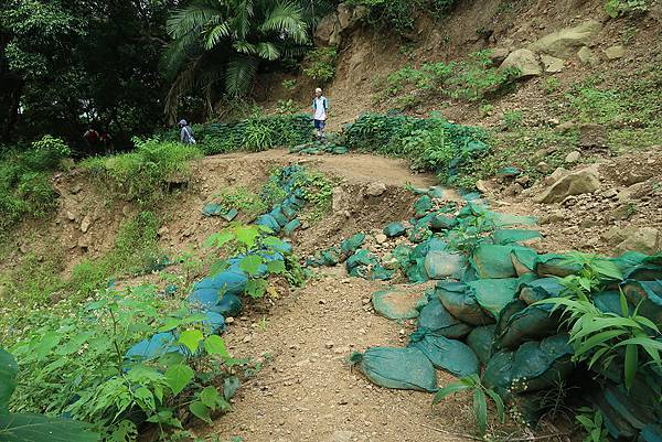 1090926龍麟山步道 (45).JPG 1090926龍麟山步道 (45).JPG
