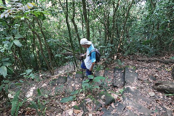 1090926龍麟山步道 (43).JPG 1090926龍麟山步道 (43).JPG