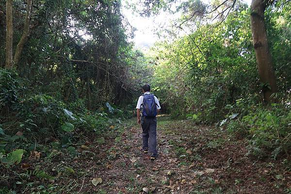 1091018關子嶺枕頭山 (18).JPG 1091018關子嶺枕頭山 (18).JPG