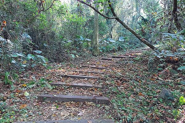 1091018關子嶺枕頭山 (19).jpg