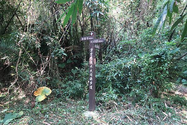 1091018關子嶺枕頭山 (20).JPG 1091018關子嶺枕頭山 (20).JPG