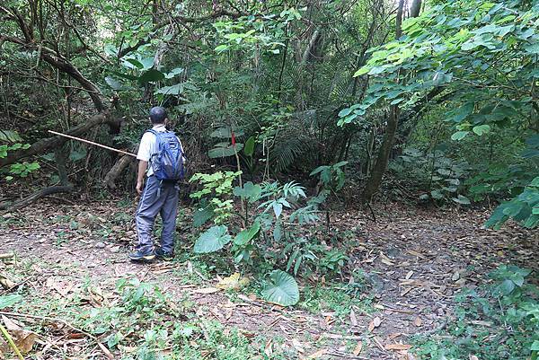 1091018關子嶺枕頭山 (30).JPG 1091018關子嶺枕頭山 (30).JPG
