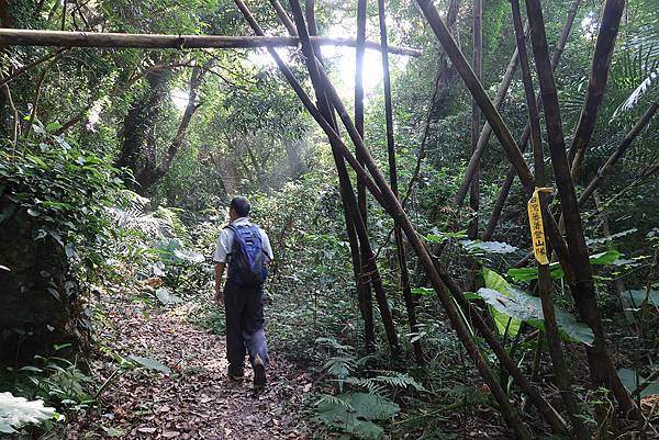 1091018關子嶺枕頭山 (29).JPG 1091018關子嶺枕頭山 (29).JPG