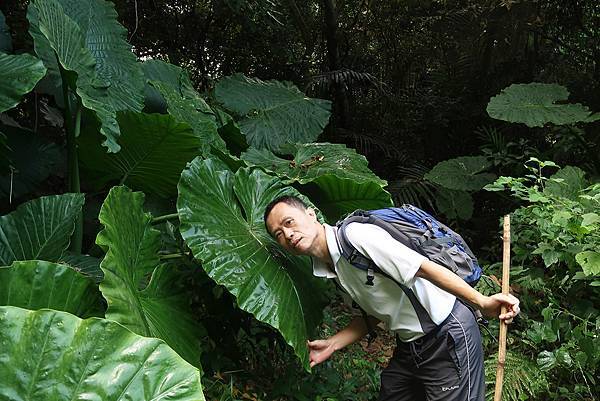 1091018關子嶺枕頭山 (32).JPG 1091018關子嶺枕頭山 (32).JPG