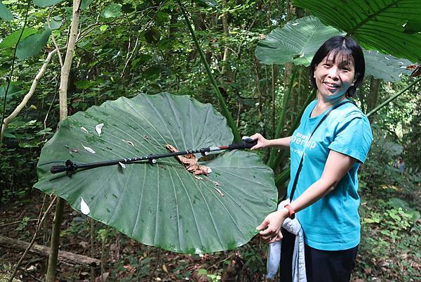 1091018關子嶺枕頭山 (34).JPG 1091018關子嶺枕頭山 (34).JPG