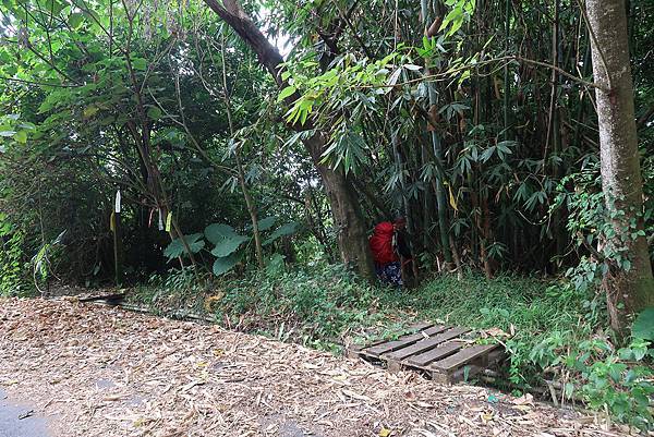 1091018關子嶺枕頭山 (36).JPG 1091018關子嶺枕頭山 (36).JPG