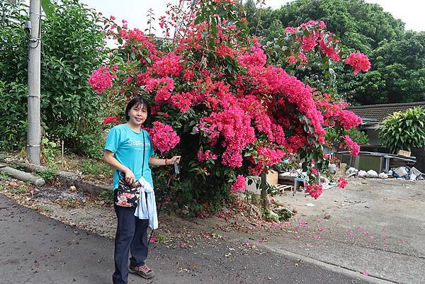 1091018關子嶺枕頭山 (40).JPG 1091018關子嶺枕頭山 (40).JPG