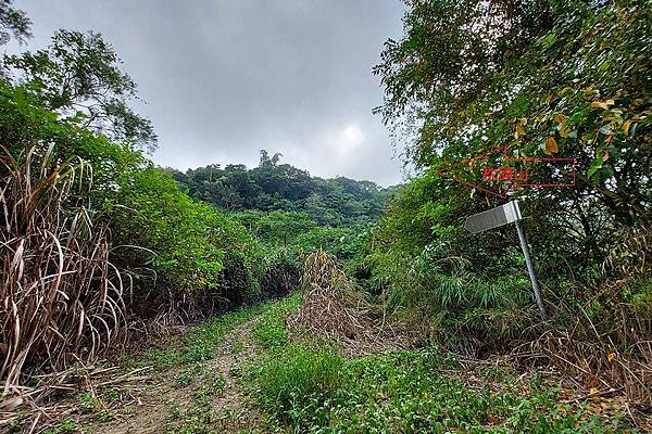 1091018關子嶺枕頭山 (51).jpg 1091018關子嶺枕頭山 (51).jpg