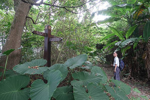 1091018關子嶺枕頭山 (50).JPG 1091018關子嶺枕頭山 (50).JPG