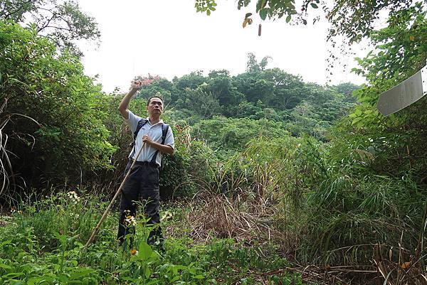 1091018關子嶺枕頭山 (53).JPG 1091018關子嶺枕頭山 (53).JPG