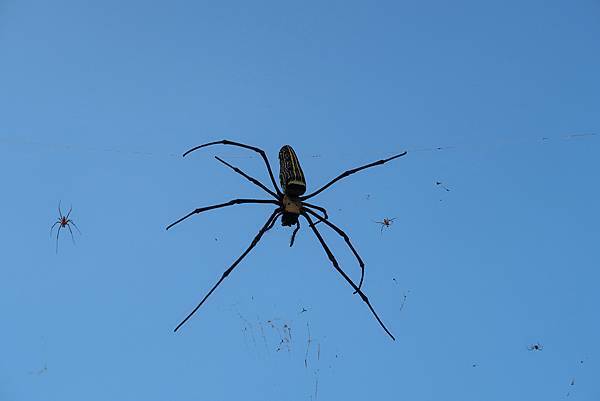 1091018關子嶺枕頭山 (56).JPG 1091018關子嶺枕頭山 (56).JPG