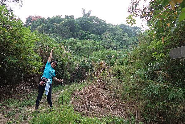 1091018關子嶺枕頭山 (52).JPG 1091018關子嶺枕頭山 (52).JPG