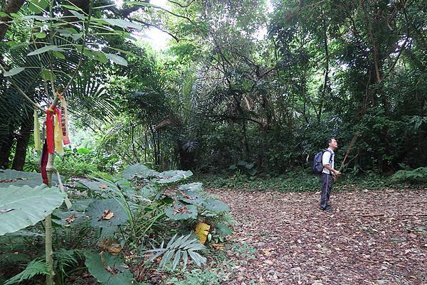 1091018關子嶺枕頭山 (58).JPG 1091018關子嶺枕頭山 (58).JPG