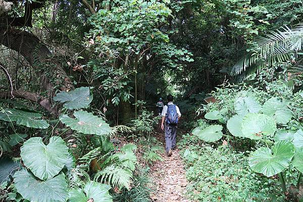 1091018關子嶺枕頭山 (31).JPG 1091018關子嶺枕頭山 (31).JPG