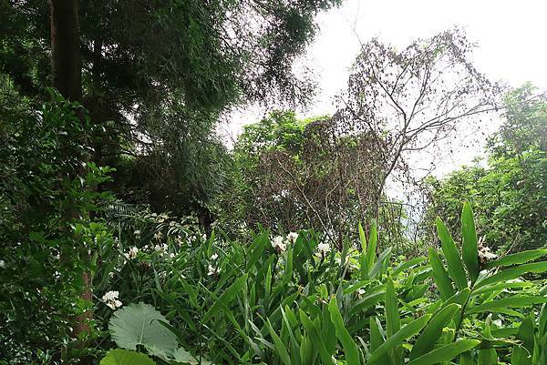 1091025塘湖古道 (7).JPG