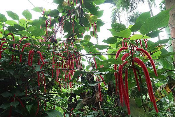 1091025塘湖古道 (11).JPG