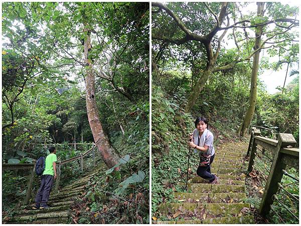 1091025塘湖古道 (23).jpg