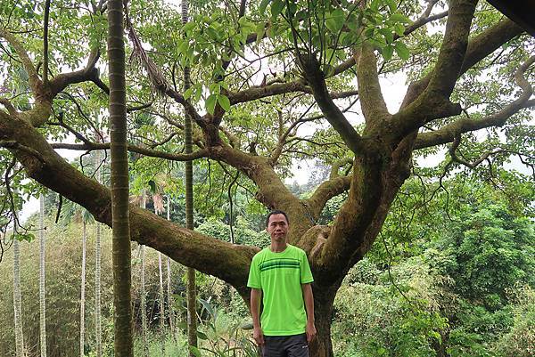 1091025塘湖古道 (28).JPG