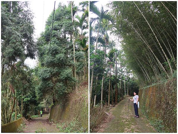 1091025塘湖古道 (35).jpg