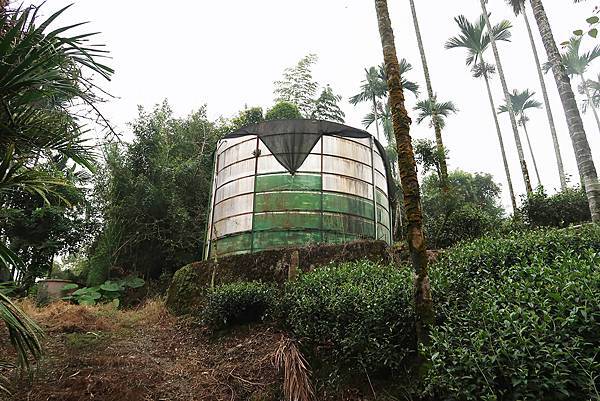 1091025塘湖古道 (37).JPG