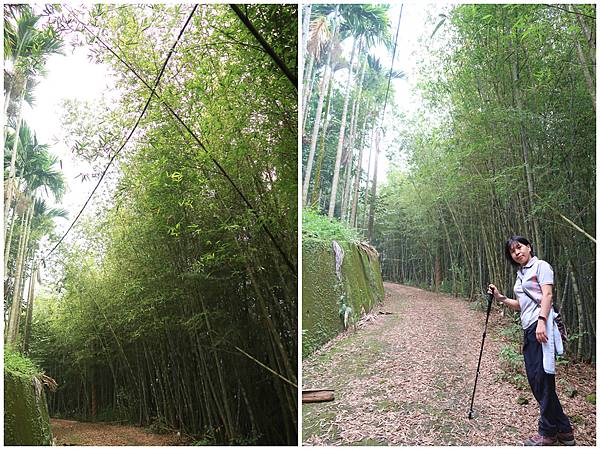 1091025塘湖古道 (36).jpg